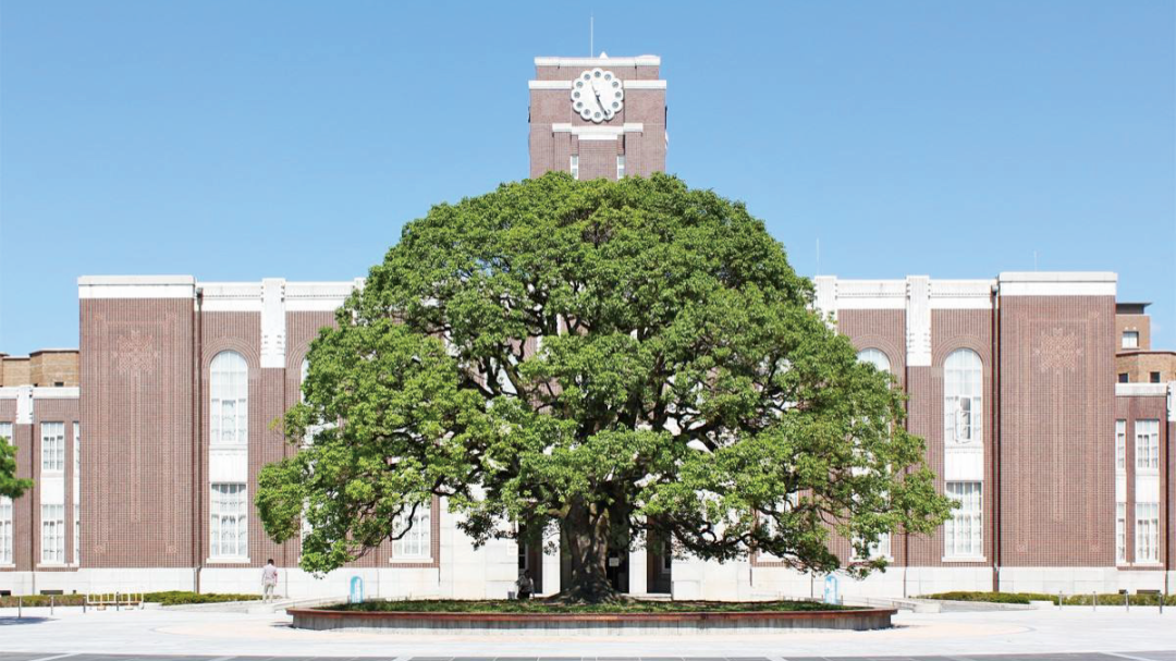 沈阳新干线 日语培训 日语学习 日语培训 日语学习 日本留学