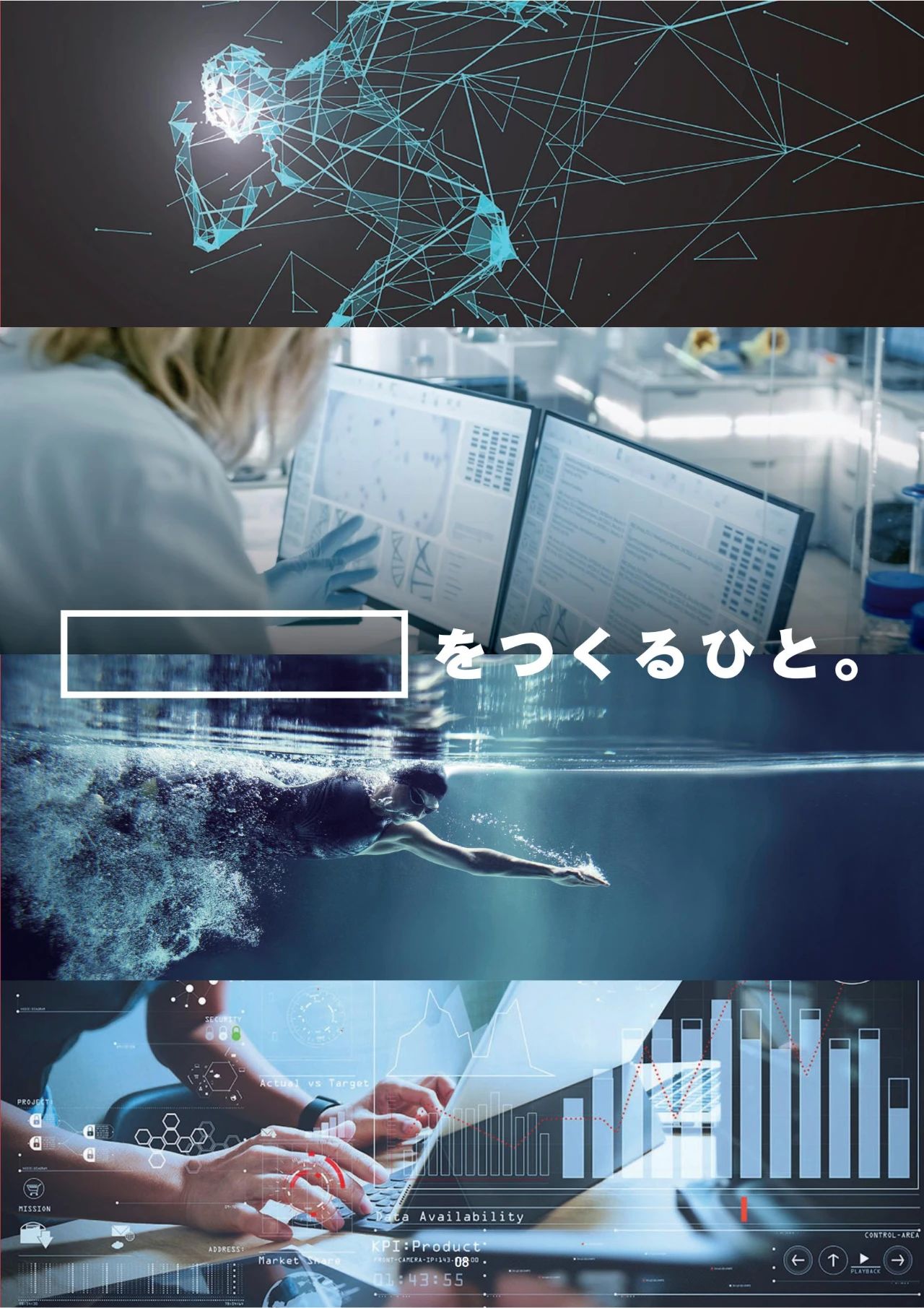 ˳ôѧ